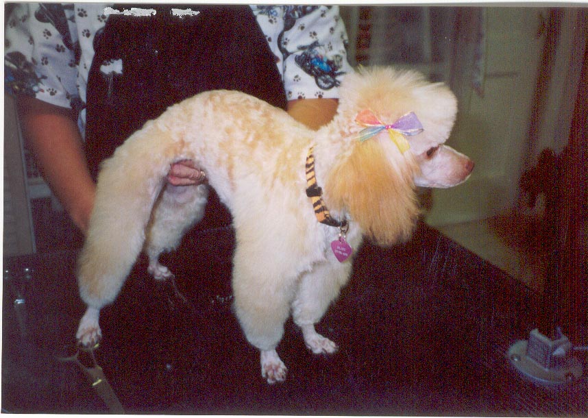 bb11.jpg